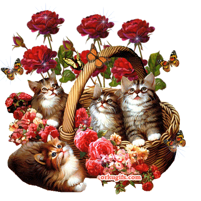 http://www.orkugifs.com/en/images/Basket-of-kittens_1411.gif