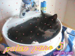 http://img34.glitterfy.com/10026/glitterfy0074554399D30.gif
