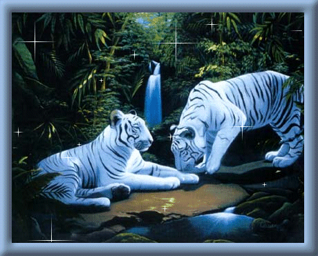 http://www.picgifs.com/glitter-gifs/w/white-tiger/picgifs-white-tiger-0878611.gif