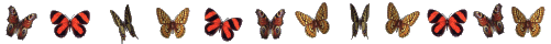 http://2.bp.blogspot.com/_6PNYwS0FNmE/TT5zuxYanxI/AAAAAAAACQs/tVJrp24y9-A/s1600/butterfly+color+line+graphic+mini+clipart+3d+gif+animation+free+download+.gif