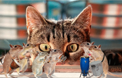 http://dl4.glitter-graphics.net/pub/1435/1435374q6jky2mcwf.gif