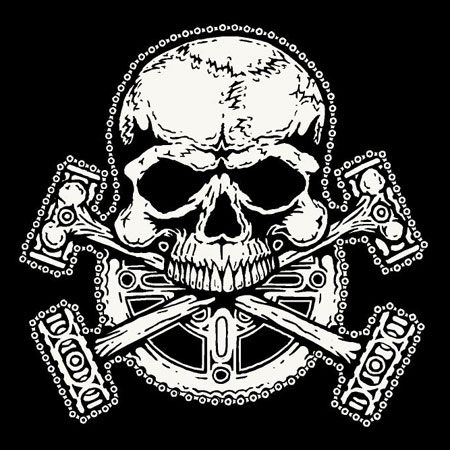 http://www.piratemerch.com/images/BIKE-SKULL-BIG.jpg
