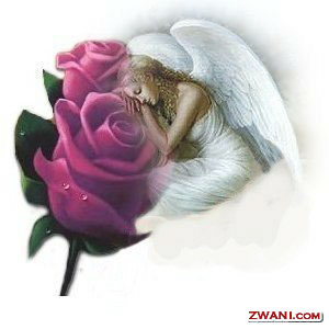 http://images.zwani.com/graphics/angels/images/angelpurpleroses.jpg