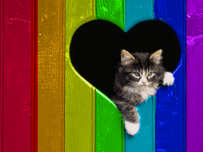http://dl6.glitter-graphics.net/pub/925/925726exous4seul.gif