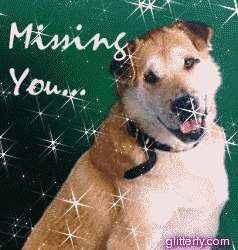 http://img10.glitterfy.com/graphics/104/missing_you_dog.gif