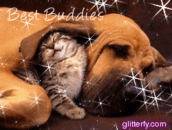 http://img10.glitterfy.com/graphics/181/cat_and_dog.gif