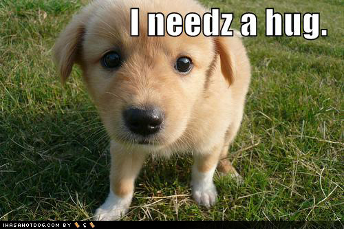http://snabbieyoyo.org/albums/icanhas/cute_puppy_pictures_outside_needs_hug.jpg