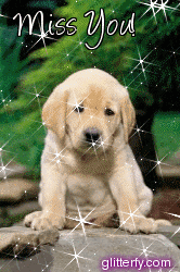 http://img10.glitterfy.com/graphics/104/sad_puppy_2.gif