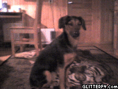 http://img34.glitterfy.com/10037/glitterfy-flpbk0092740249734.gif