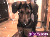 http://img34.glitterfy.com/10037/glitterfy0091033326D32.gif