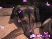 http://img34.glitterfy.com/10037/glitterfy0093234155D31.gif