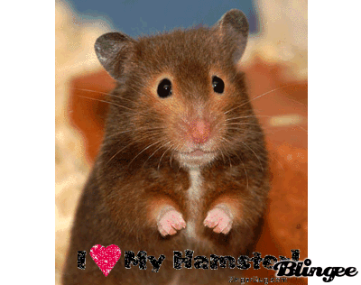 http://image.blingee.com/images15/content/output/000/000/000/36b/147672575_243031.gif