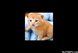 http://img34.glitterfy.com/121/glitterfy-flpbk0104540272123634.gif