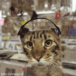 http://dl5.glitter-graphics.net/pub/227/227035xiktrwi02p.gif