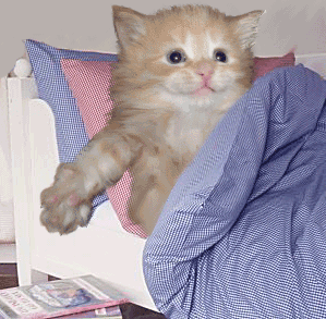 http://dl10.glitter-graphics.net/pub/320/320530s329ihy0ja.gif
