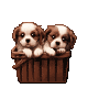 http://dl2.glitter-graphics.net/pub/644/644222txrltk401j.gif