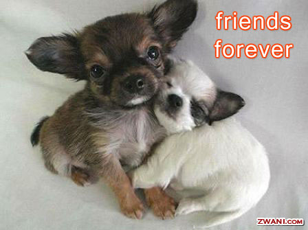 http://www.zwani.com/graphics/friends/images/123.jpg