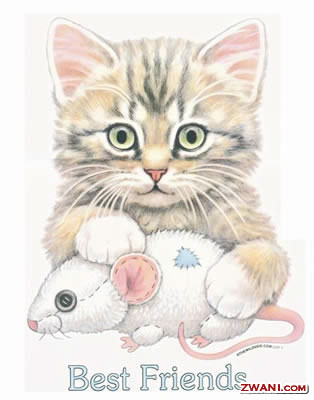http://www.zwani.com/graphics/friends/images/4.jpg