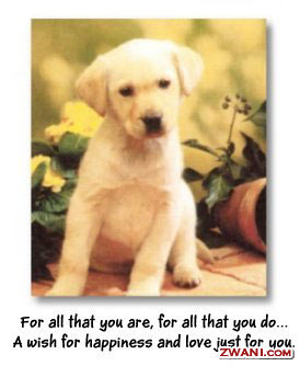 http://www.zwani.com/graphics/i_love_you/images/11.jpg