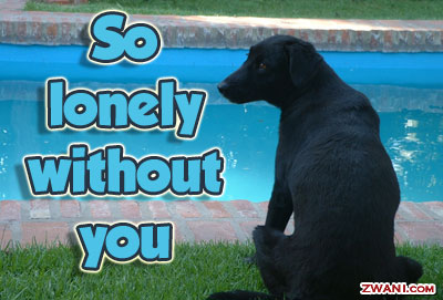 http://www.zwani.com/graphics/i_miss_you/images/lonely-without-you.jpg
