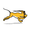 http://images.neopets.com/template_images/gelert_yellow_run.gif