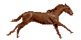 http://dl8.glitter-graphics.net/pub/498/498548ci2ls0sx8t.gif