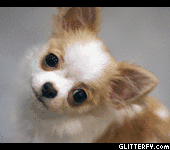 http://img32.glitterfy.com/248/glitterfy-flpbk0403374979823732.gif