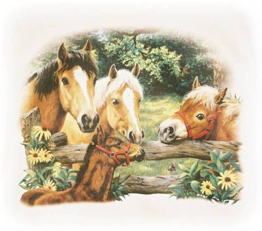 http://www.joekaarutall.ee/pildid/data/media/17/Horses_Sm2.jpg