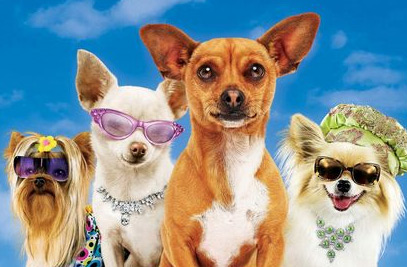 http://www.moviehole.net/img/dogs2.jpg