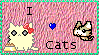 http://t1.gstatic.com/images?q=tbn:ANd9GcT00eDMdro62W7O4ZDjGOLBTjO9dUn7CeRjISN-pQ9uZUA2rgdNDwkgQqc