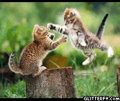 http://img34.glitterfy.com/344/glitterfy-flpbk907513030623034.gif