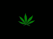 http://dl10.glitter-graphics.net/pub/66/66280r4qw1njrxh.gif