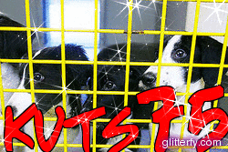 http://img30.glitterfy.com/27/glitterfy114058573D36.gif
