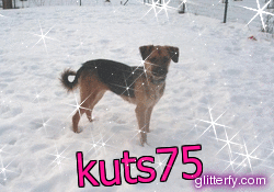 http://img30.glitterfy.com/333/glitterfy110614699D37.gif