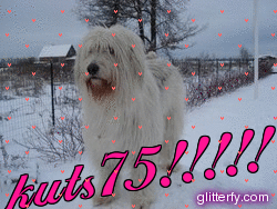 http://img30.glitterfy.com/336/glitterfy121443927D37.gif