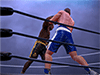 Wrestling Games