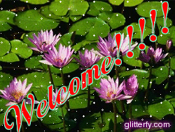 http://img30.glitterfy.com/298/glitterfy043346255D36.gif