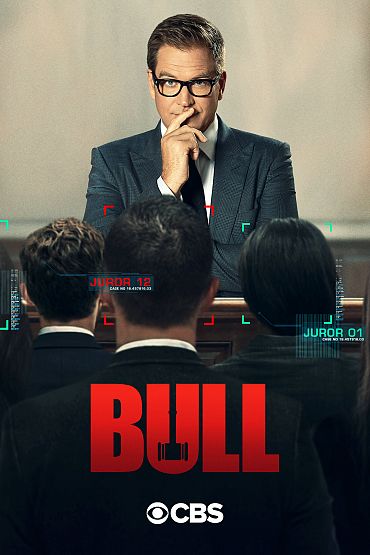 Bull