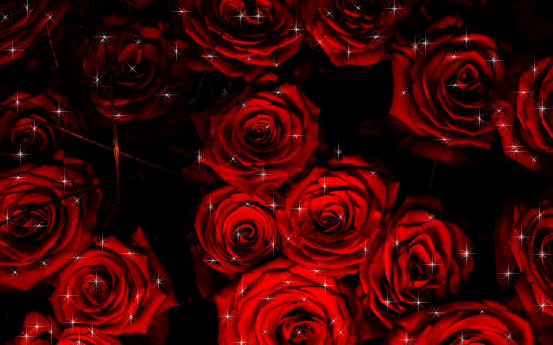 http://dl8.glitter-graphics.net/pub/461/461898tg93ryqz0h.gif
