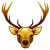 Buck Ride Gold