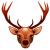 Buck Ride Bronze