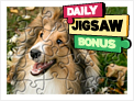 Bonus Jigsaws