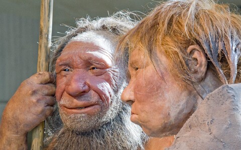 Neandertallase rekonstruktsioon.