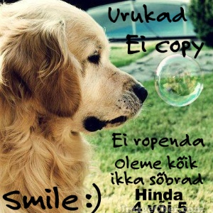 http://cdn-users1.imagechef.com/ic/stored/2/100927/pur334072900e4d022e.jpg