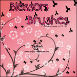 Blossom Brushes