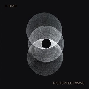 Image for 'No Perfect Wave'