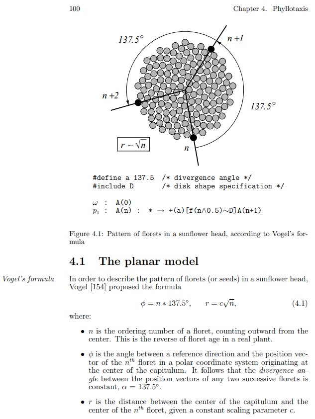 phyllotaxis code formula. algorithmic botany. paper