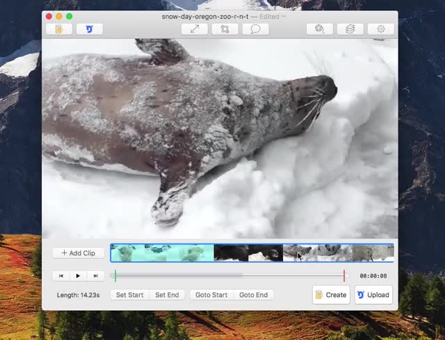 Watch and share Gif Brewery GIFs by Tutorials & Support on Gfycat