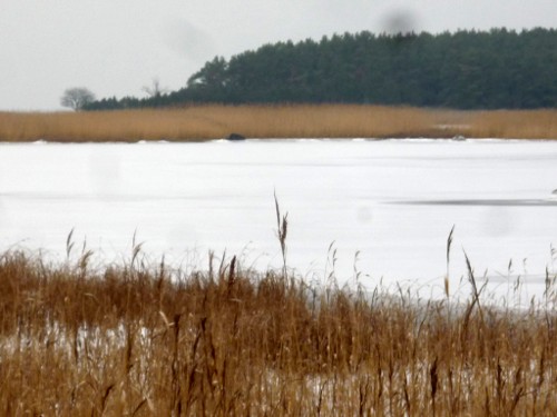 M&otilde;niste laht 14.12.2020
