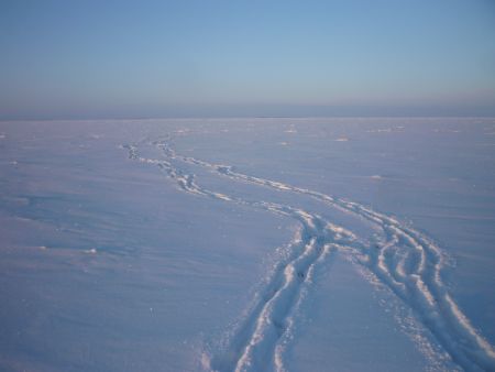Muhu p&otilde;hjaosa 26.01.2019